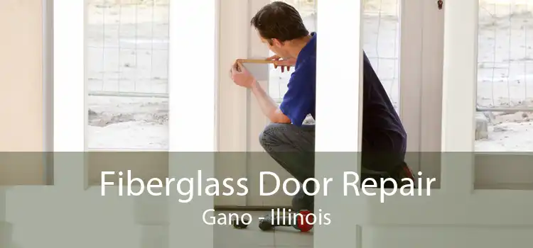 Fiberglass Door Repair Gano - Illinois