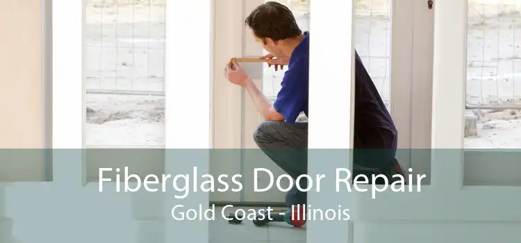 Fiberglass Door Repair Gold Coast - Illinois