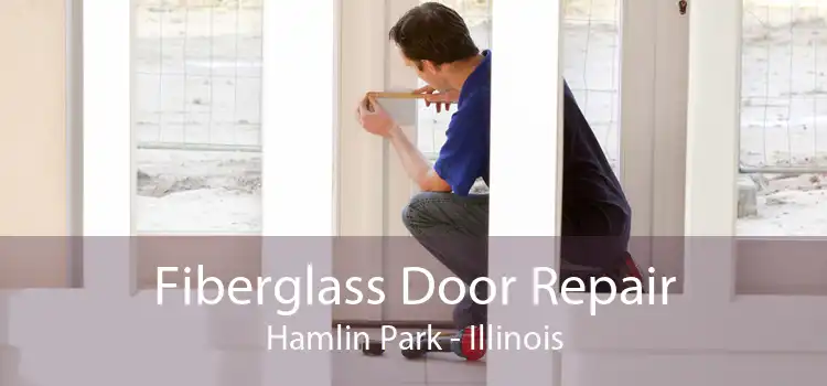 Fiberglass Door Repair Hamlin Park - Illinois