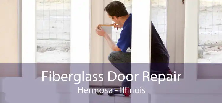 Fiberglass Door Repair Hermosa - Illinois