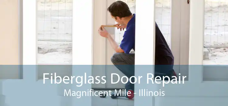 Fiberglass Door Repair Magnificent Mile - Illinois