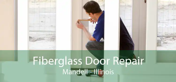 Fiberglass Door Repair Mandell - Illinois