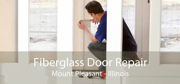 Fiberglass Door Repair Mount Pleasant - Illinois