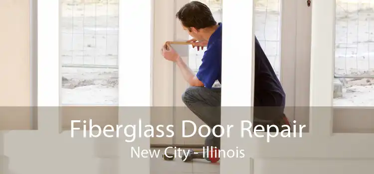 Fiberglass Door Repair New City - Illinois