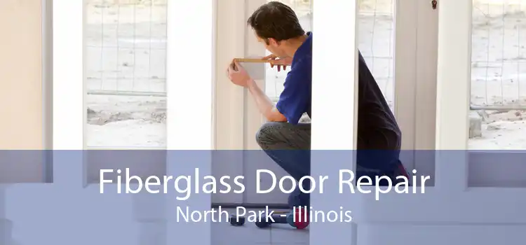 Fiberglass Door Repair North Park - Illinois