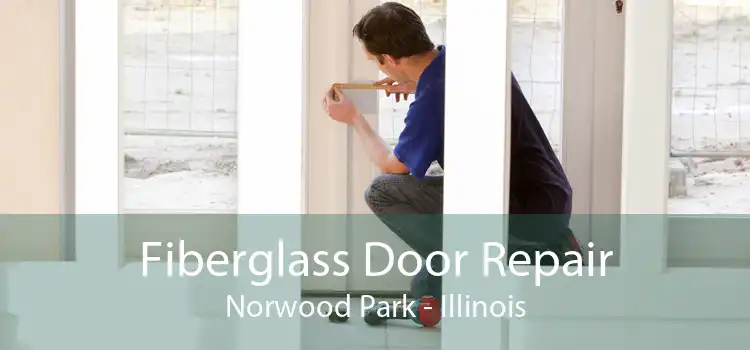 Fiberglass Door Repair Norwood Park - Illinois