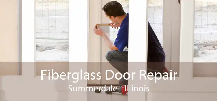 Fiberglass Door Repair Summerdale - Illinois