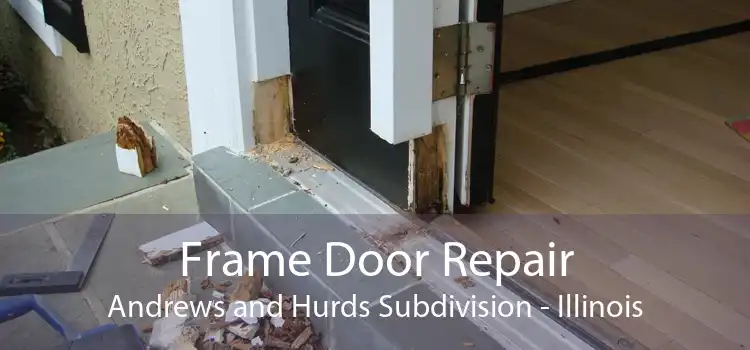 Frame Door Repair Andrews and Hurds Subdivision - Illinois