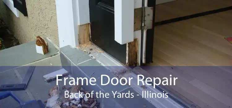 Frame Door Repair Back of the Yards - Illinois