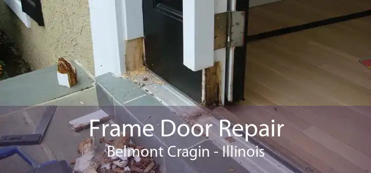 Frame Door Repair Belmont Cragin - Illinois