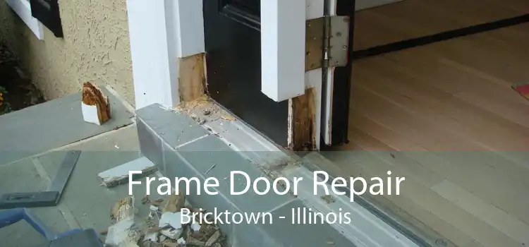 Frame Door Repair Bricktown - Illinois