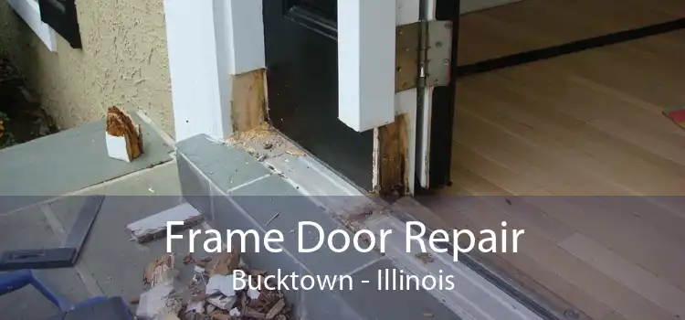 Frame Door Repair Bucktown - Illinois