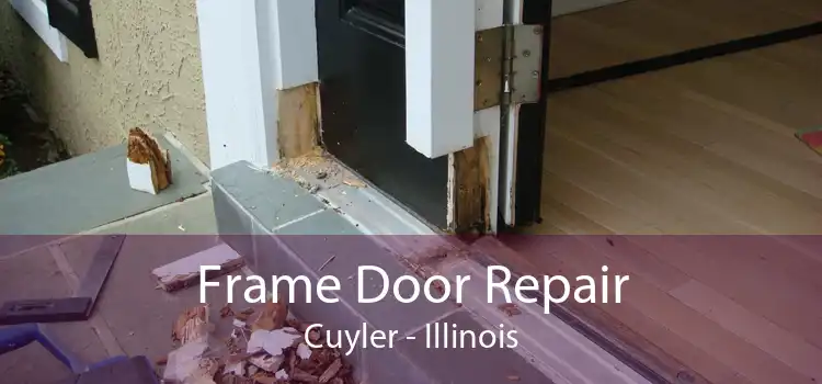 Frame Door Repair Cuyler - Illinois