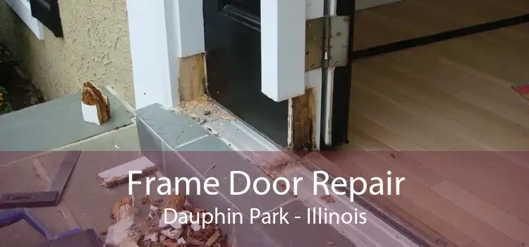 Frame Door Repair Dauphin Park - Illinois