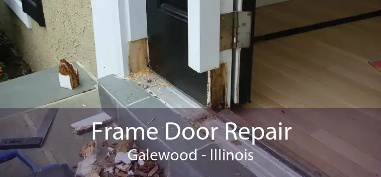 Frame Door Repair Galewood - Illinois