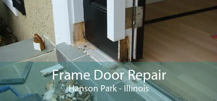 Frame Door Repair Hanson Park - Illinois