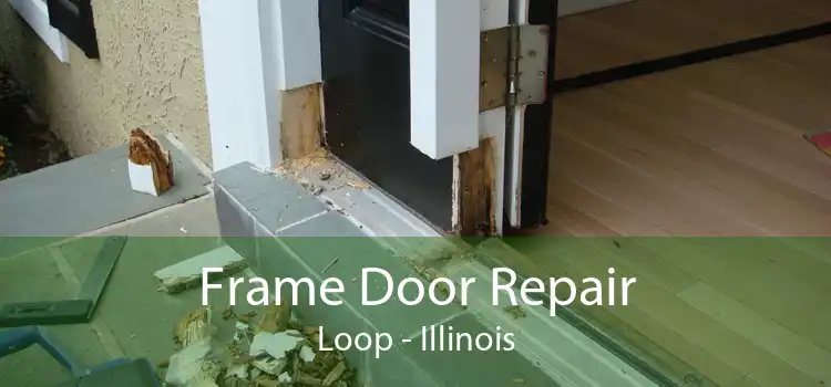 Frame Door Repair Loop - Illinois