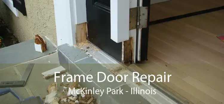 Frame Door Repair McKinley Park - Illinois