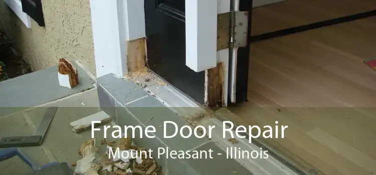 Frame Door Repair Mount Pleasant - Illinois