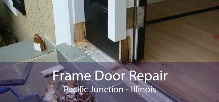 Frame Door Repair Pacific Junction - Illinois