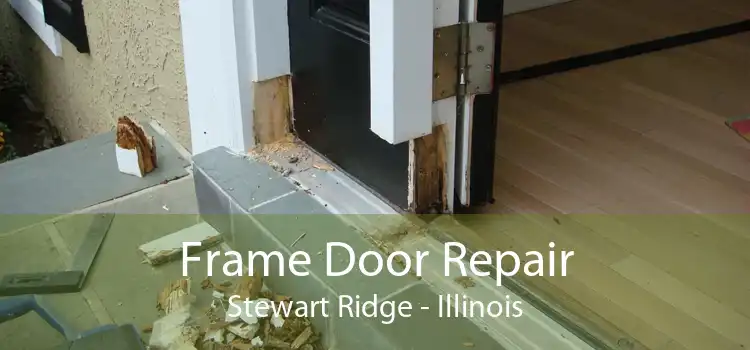 Frame Door Repair Stewart Ridge - Illinois