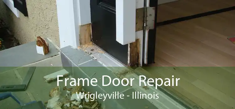 Frame Door Repair Wrigleyville - Illinois