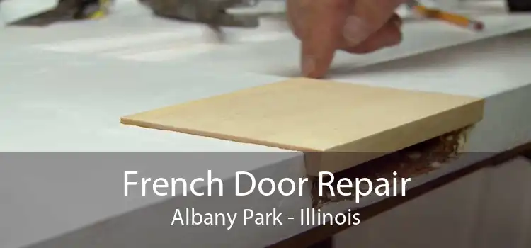 French Door Repair Albany Park - Illinois