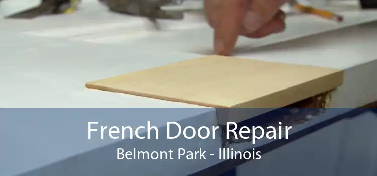 French Door Repair Belmont Park - Illinois