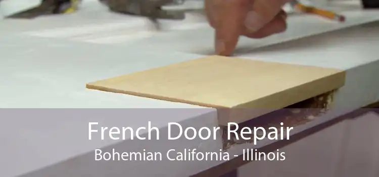 French Door Repair Bohemian California - Illinois