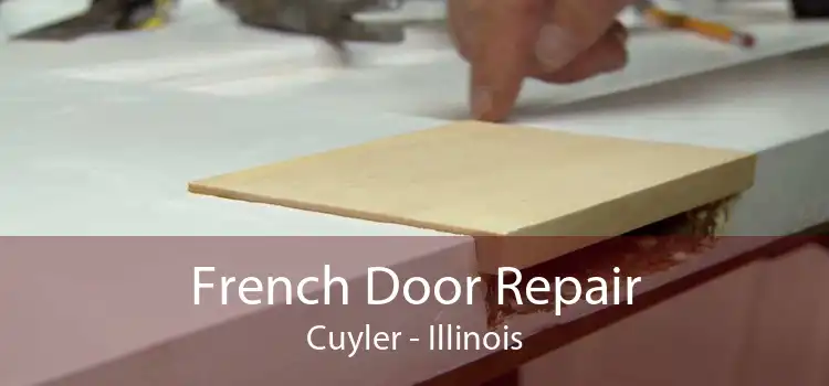 French Door Repair Cuyler - Illinois