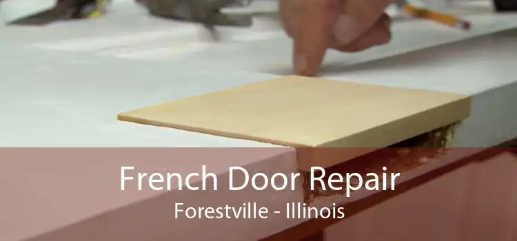 French Door Repair Forestville - Illinois