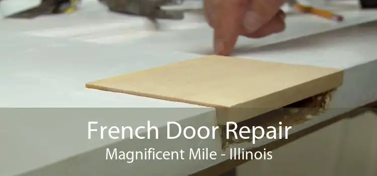 French Door Repair Magnificent Mile - Illinois