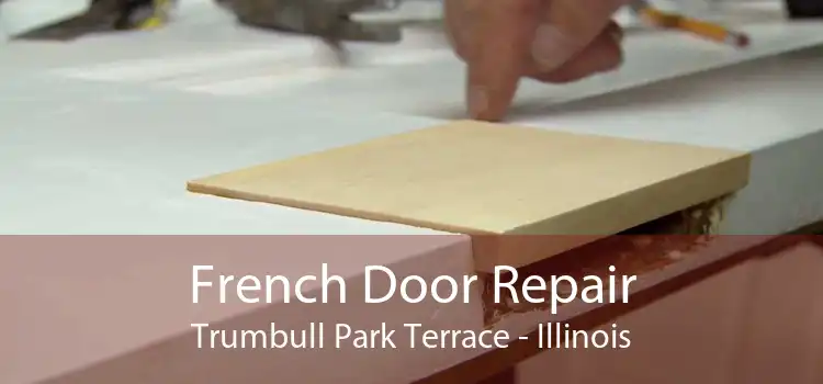 French Door Repair Trumbull Park Terrace - Illinois