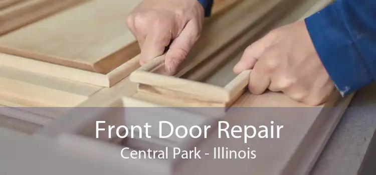 Front Door Repair Central Park - Illinois