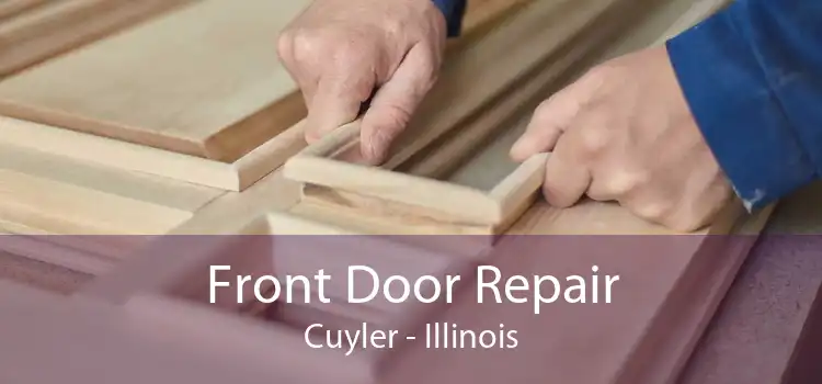 Front Door Repair Cuyler - Illinois