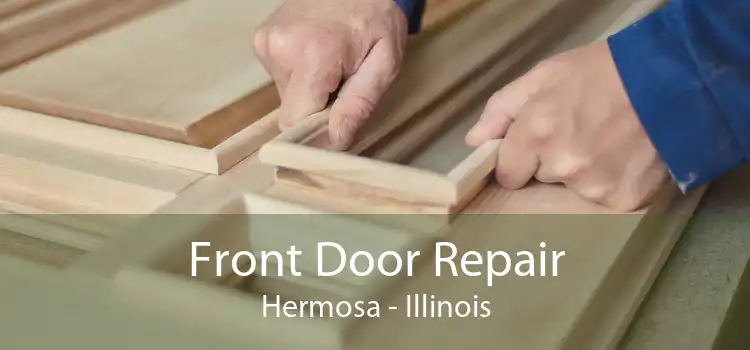 Front Door Repair Hermosa - Illinois