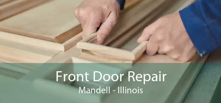 Front Door Repair Mandell - Illinois