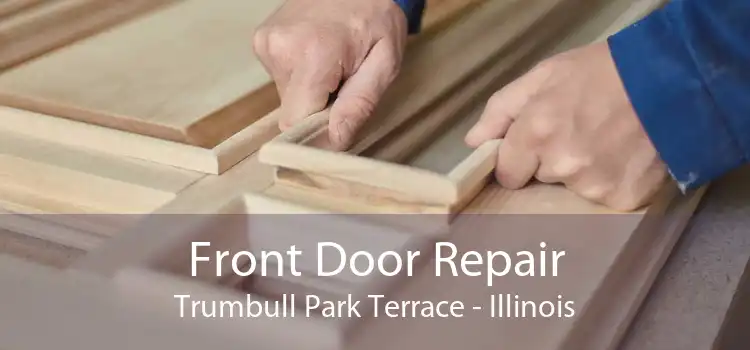 Front Door Repair Trumbull Park Terrace - Illinois