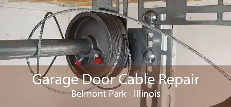 Garage Door Cable Repair Belmont Park - Illinois