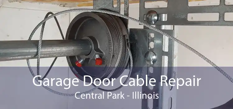 Garage Door Cable Repair Central Park - Illinois