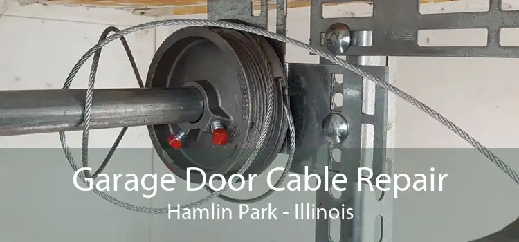 Garage Door Cable Repair Hamlin Park - Illinois