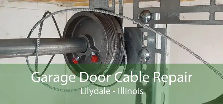 Garage Door Cable Repair Lilydale - Illinois