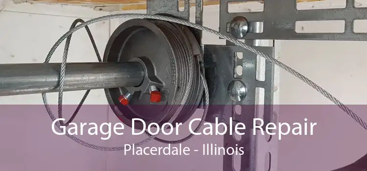 Garage Door Cable Repair Placerdale - Illinois