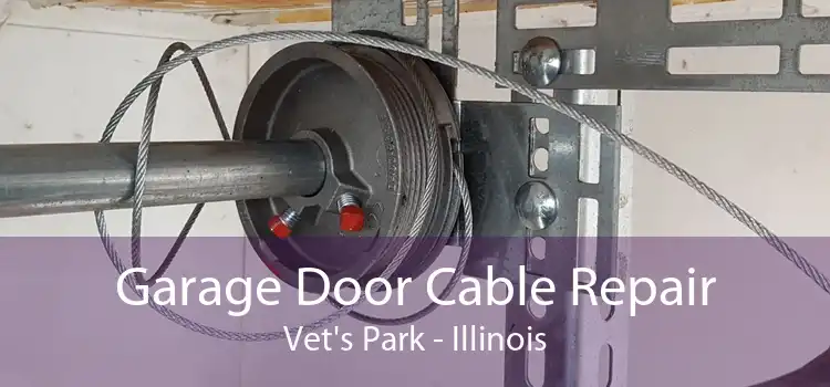 Garage Door Cable Repair Vet's Park - Illinois