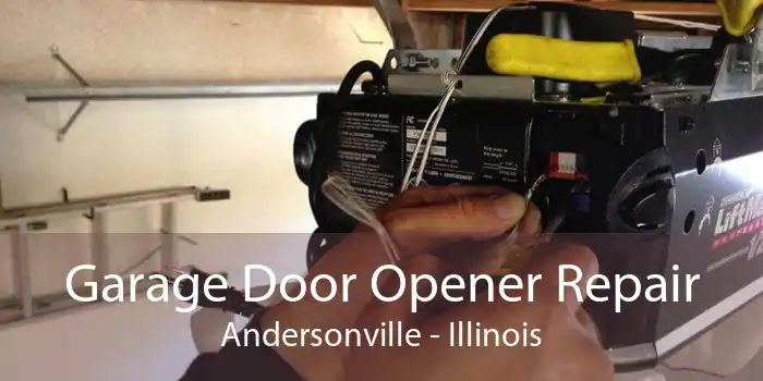 Garage Door Opener Repair Andersonville - Illinois