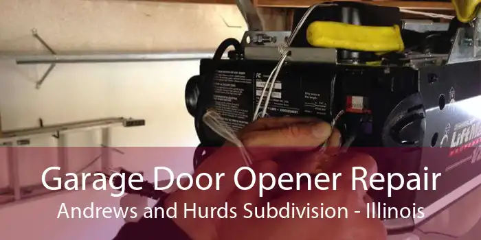 Garage Door Opener Repair Andrews and Hurds Subdivision - Illinois