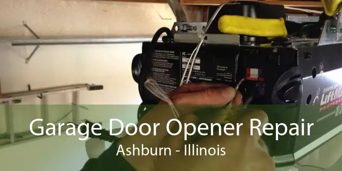 Garage Door Opener Repair Ashburn - Illinois