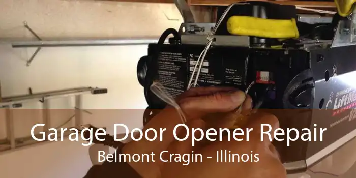 Garage Door Opener Repair Belmont Cragin - Illinois