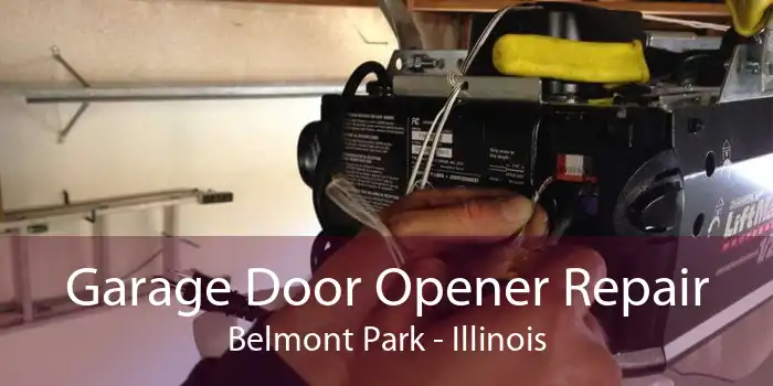 Garage Door Opener Repair Belmont Park - Illinois