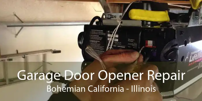 Garage Door Opener Repair Bohemian California - Illinois